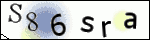 Human Confirmation Code (Captcha)