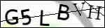 Human Confirmation Code (Captcha)