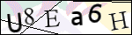 Human Confirmation Code (Captcha)
