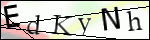 Human Confirmation Code (Captcha)