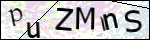 Human Confirmation Code (Captcha)