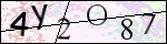 Human Confirmation Code (Captcha)