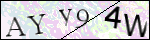 Human Confirmation Code (Captcha)