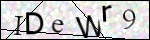 Human Confirmation Code (Captcha)