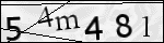 Human Confirmation Code (Captcha)