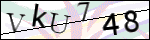 Human Confirmation Code (Captcha)