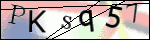 Human Confirmation Code (Captcha)