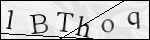 Human Confirmation Code (Captcha)