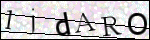 Human Confirmation Code (Captcha)