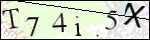 Human Confirmation Code (Captcha)