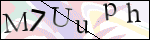 Human Confirmation Code (Captcha)
