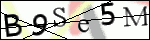 Human Confirmation Code (Captcha)