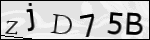 Human Confirmation Code (Captcha)