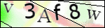 Human Confirmation Code (Captcha)