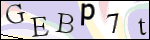 Human Confirmation Code (Captcha)