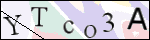 Human Confirmation Code (Captcha)
