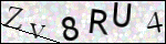 Human Confirmation Code (Captcha)