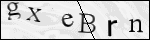 Human Confirmation Code (Captcha)