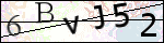Human Confirmation Code (Captcha)