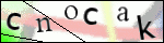 Human Confirmation Code (Captcha)