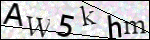 Human Confirmation Code (Captcha)