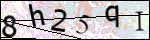 Human Confirmation Code (Captcha)