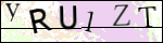 Human Confirmation Code (Captcha)