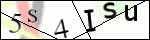 Human Confirmation Code (Captcha)