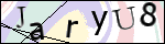 Human Confirmation Code (Captcha)