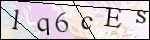 Human Confirmation Code (Captcha)