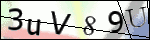 Human Confirmation Code (Captcha)