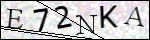 Human Confirmation Code (Captcha)