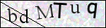 Human Confirmation Code (Captcha)
