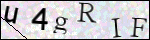 Human Confirmation Code (Captcha)