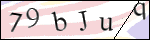 Human Confirmation Code (Captcha)