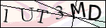Human Confirmation Code (Captcha)