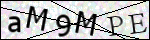 Human Confirmation Code (Captcha)