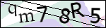 Human Confirmation Code (Captcha)