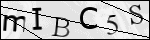 Human Confirmation Code (Captcha)