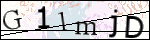 Human Confirmation Code (Captcha)