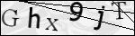 Human Confirmation Code (Captcha)