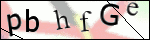 Human Confirmation Code (Captcha)