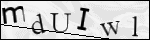 Human Confirmation Code (Captcha)