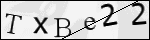 Human Confirmation Code (Captcha)