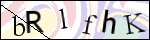 Human Confirmation Code (Captcha)
