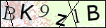 Human Confirmation Code (Captcha)