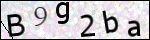 Human Confirmation Code (Captcha)