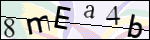 Human Confirmation Code (Captcha)