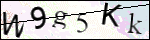 Human Confirmation Code (Captcha)