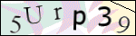 Human Confirmation Code (Captcha)